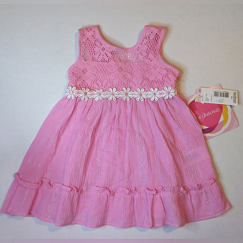 NWT Youngland Infant 12 month dress pink w/ white daisies